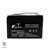 باطری ۱۲ ولت ۱۲ آمپر ساعت سمپاش دو موتوره ۲۰ لیتری FST